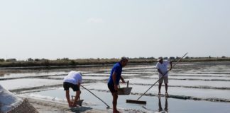 Luoghi del Cuore FAI: L’Antica Salina Camillone di Cervia sale 29^ nella classifica nazionale