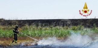 Vasto incendio di sterpaglie: al lavoro Vigili del Fuoco da Ravenna, Cervia, Rimini e Forlì