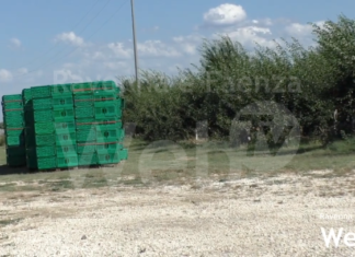 Caldo e siccità: in agricoltura calo della produzione fra il 30% e il 50%. Ora si teme per l’ortofrutta
