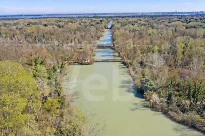 ravenna-punte_alberete-turismo-comunicattivi-DJI_0676