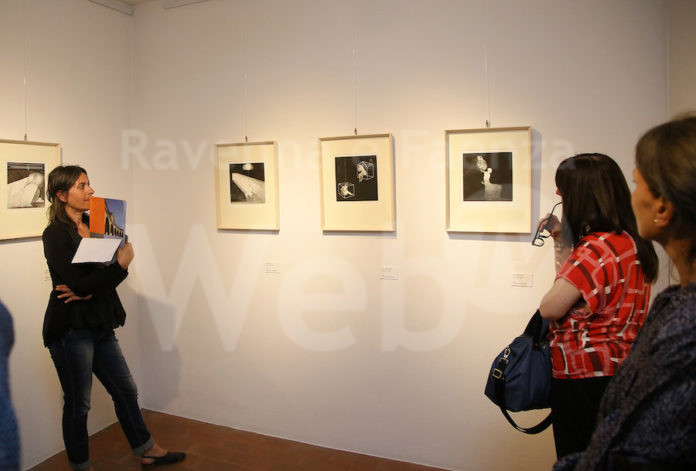 sale mostra Diana - 3