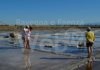 Cervia: “Salinaro per un Giorno”, Insieme ai salinari alla Salina Camillone
