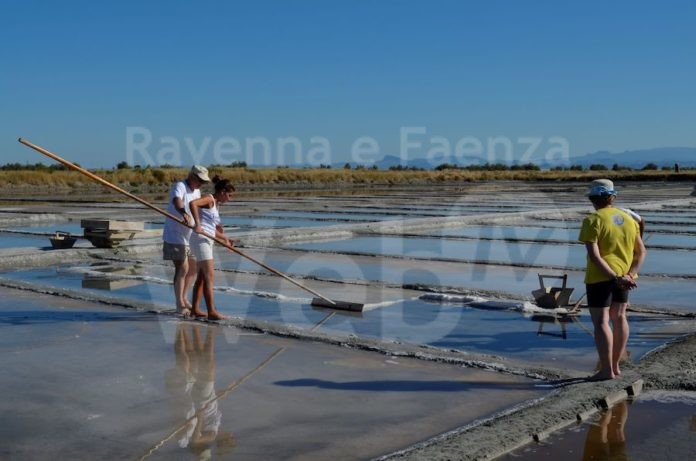 salinaro per un giorno rid