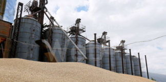 Grano, nave Fyi Rojen da Ucraina arriverà a Ravenna il 12 agosto alle 19