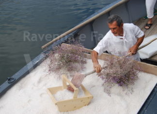 Cervia Sapore di Sale 2022: L’edizione dedicata al “pizzico di sale“ in partenza dal 1° settembre