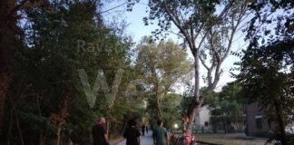 Tutela della pineta Ramazzotti dagli incendi: I presidi continuano