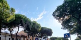 Italia Nostra: Continua la strage di alberi lungo la via d’accesso principale a Ravenna. Nulla verrà ripiantato.