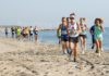 Domenica 4 settembre la quarta edizione di Ravenna Park Race: Si corre e camina nella natura
