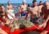 Tartaruga marina in fin di vita salvata dai bagnanti a Cervia
