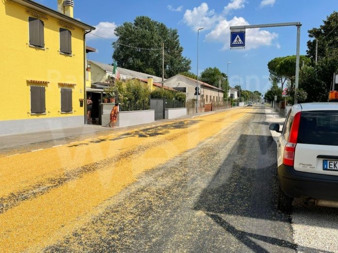 301702497_402488172028049_3668950363909094792_n (1)