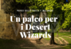 Un palco per i Desert Wizards in concerto a Russi