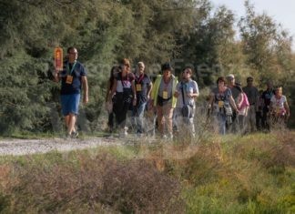 ItineRA dall’1 al 13 settembre nel verde pubblico di Ravenna: Coltivare il proprio giardino è il titolo della sesta edizione