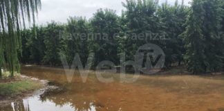 Ravenna in Comune: il fato non grandina