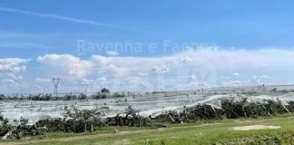 Alluvione, Coldiretti: indennizzi rapidi per la sopravvivenza delle aziende