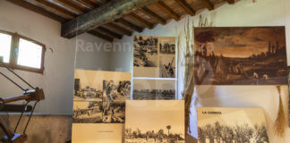 Massa Lombarda: tre differenti iniziative per l’apertura straordinaria del Museo della Frutticoltura