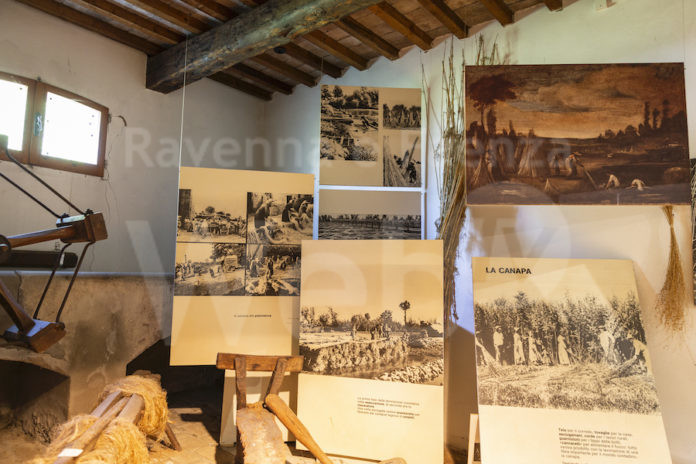 Massa-Lombarda_Museo-Frutticoltura_