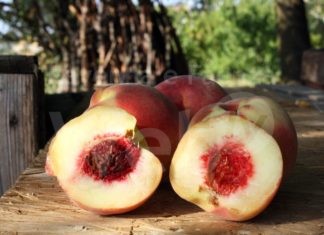 Massa Lombarda: al via l’undicesima edizione della festa “Buco incavato”
