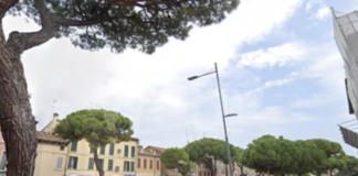 Ancisi (LpRa): Ripiantumare gli alberi in via maggiore, come promesso nel 2019