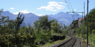 Unione: un’ordinanza per contenere la vegetazione a ridosso delle sedi ferroviari