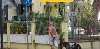 Lombardo in vacanza con un pony nelle spiagge di Cervia