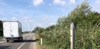 Grandi (Viva Ravenna): Fermate da terzo mondo (assai pericolose) per l’attesa di bus in via Trieste