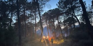 Pro Loco di Lido di Dante: La pineta Ramazzotti brucia ancora