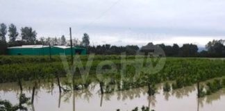 Maltempo Ravenna. Lega: “Ristori alle aziende colpite dal violento temporale nel ravennate”