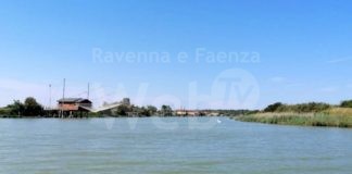 Festival Naturae, Lido di Classe: Oggi pomeriggio biciclettata guidata all’Ortazzo e all’Ortazzino