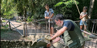 Bicicletta gettata nel laghetto del parco Bucci: si cerca il responsabile