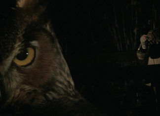 Agosto all’Arena Borghesi inizia con gli omaggi a De Palma, Roversi e con i muti musicati dal vivo