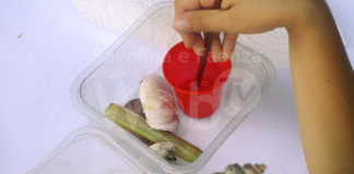 Cervia, mercoledì pomeriggio al bagno Jacarè il Conchigliamo Summer Lab