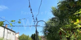 Bagnacavallo: Terminato il nuovo camminamento, il Giardino dei Semplici riapre al pubblico