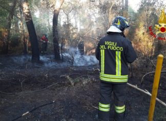 Incendi boschivi: dall’1 luglio scatta la ‘fase di attenzione’ su tutto il territorio regionale