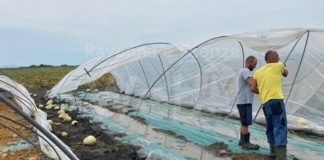 Maltempo, Coldiretti: Per l’agricoltura è una calamità