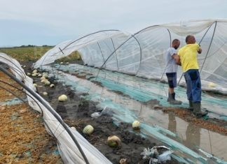 Maltempo, Coldiretti: Per l’agricoltura è una calamità