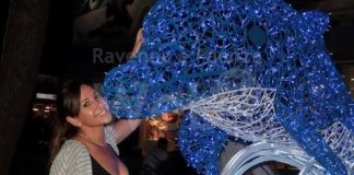 “il Viaggio negli Abissi”. Mondo Sottomarino fino all’11 settembre