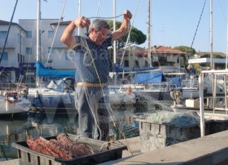 Pesca, Pescato…Tartarughe: Passeggiata patrimoniale al Ecomuseo di Cervia
