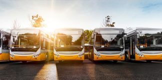 Autobus, immatricolazioni a passo lento. Anche Ravenna non brilla: solo sei nuove targhe