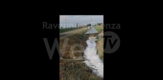 I cittadini denunciano: Misteriosa Schiuma bianca sul canale Menate, tra Fusignano e Alfonsine