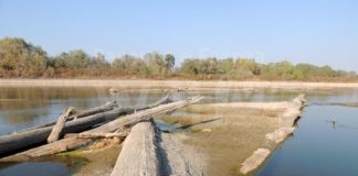 Siccità, Fiume Po: per la prima volta da inizio estate le portate tornano ai livelli minimi