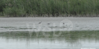 Valle della Canna: lo svuotamento sarà completo fra 10-15 giorni