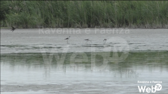 valle della canna valle mandriole