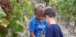 Coldiretti: Al via domenica 4 settembre “come è fatto”