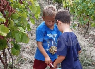 Coldiretti: Al via domenica 4 settembre “come è fatto”