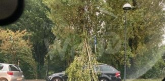 Maltempo: Danni in diverse zone del ravennate | FOTO