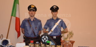 Fermato con in auto marijuana e hashish, in casa i carabinieri scoprono una serra