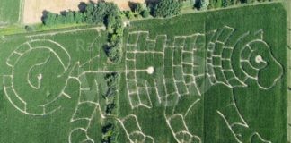 Ultimi giorni per visitare il labirinto Effimero di Alfonsine