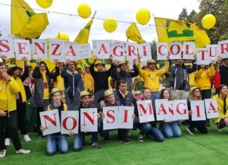 Bollette, Coldiretti: L’agricoltura scende in piazza. Un azienda giovani su 4 rischia per caro bollette, gasolio e concimi