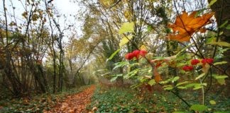 Bagnacavallo: Riaperto fino al 9 ottobre il Podere Pantaleone