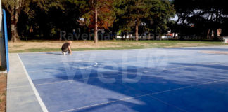 Bagnacavallo: Appuntamento a domenica per dipingere il nuovo campo da basket